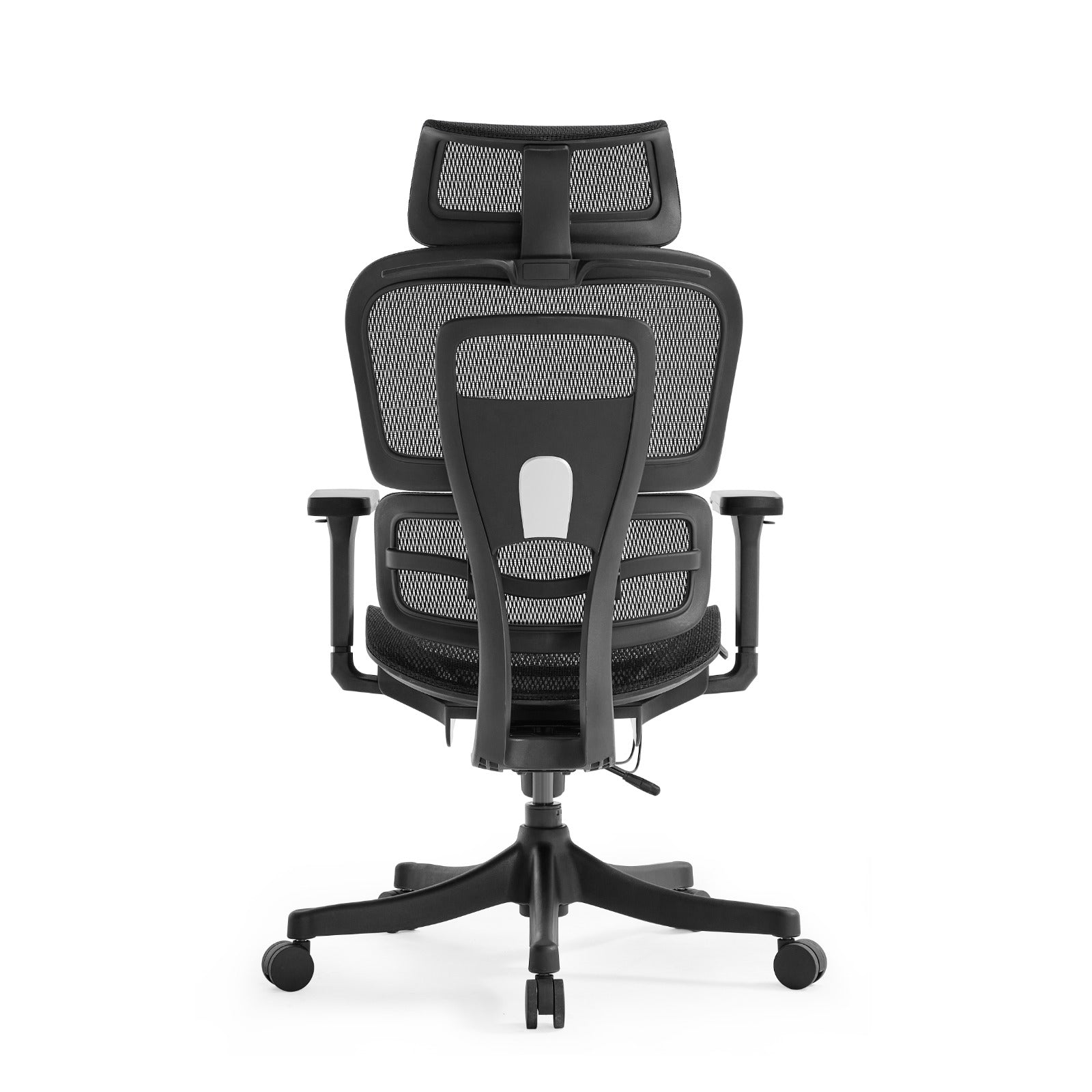 CloudPro Ergonomic Chair