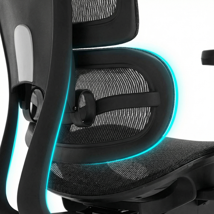 soporte lumbar 5D