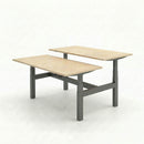 Business Electric Sit Stand Desk