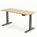 Electric Sit Stand Desk Jano