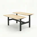 Business Electric Sit Stand Desk