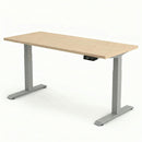 Electric Sit Stand Desk Jano