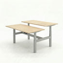 Business Electric Sit Stand Desk