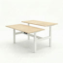 Business Electric Sit Stand Desk