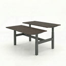 Business Electric Sit Stand Desk