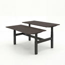 Business Electric Sit Stand Desk