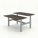 Business Electric Sit Stand Desk