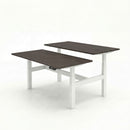 Business Electric Sit Stand Desk