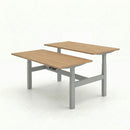 Business Electric Sit Stand Desk