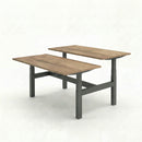 Business Electric Sit Stand Desk