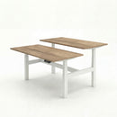 Business Electric Sit Stand Desk