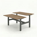 Business Electric Sit Stand Desk