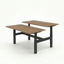 Business Electric Sit Stand Desk