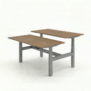 Business Electric Sit Stand Desk