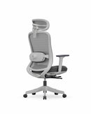 CloudPlus Ergonomic Chair – With Built-in Electric Lumbar Massage