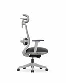 CloudPlus Ergonomic Chair – With Built-in Electric Lumbar Massage