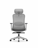 CloudPlus Ergonomic Chair – With Built-in Electric Lumbar Massage
