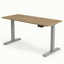 Electric Sit Stand Desk Jano