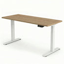 Electric Sit Stand Desk Jano