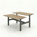 Business Electric Sit Stand Desk