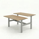 Business Electric Sit Stand Desk