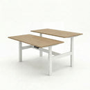Business Electric Sit Stand Desk