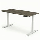Electric Sit Stand Desk Jano