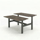 Business Electric Sit Stand Desk