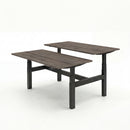 Business Electric Sit Stand Desk