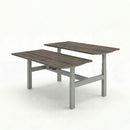 Business Electric Sit Stand Desk
