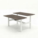 Business Electric Sit Stand Desk