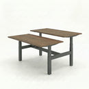 Business Electric Sit Stand Desk