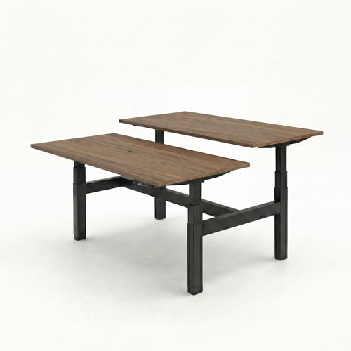Business Duo Electric Sit Stand Desk