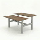 Business Electric Sit Stand Desk