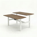 Business Electric Sit Stand Desk