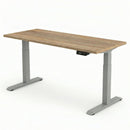 Electric Sit Stand Desk Jano