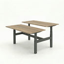 Business Electric Sit Stand Desk