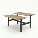 Business Electric Sit Stand Desk