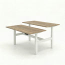 Business Electric Sit Stand Desk
