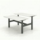 Business Electric Sit Stand Desk